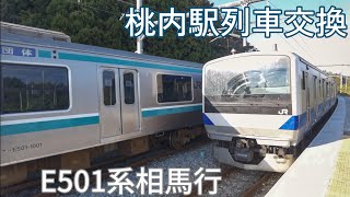 常磐線 復興浜通り酒巡り号 E501系 いわき発相馬行 桃内駅発車 普通水戸行と交換 11/3