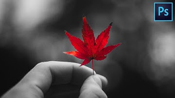 How To Isolate Colors In Photoshop 2020 | Photoshop Tutorial