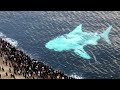 映像がなければ誰も信じなかった光景36選!