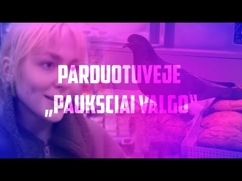 Remiksuota muzika Vilniaus parduotuvėje „Paukščiai valgo“ pralinksmino pirkėjus, bet ne veterinarus.