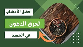 أفضل الأعشاب لحرق الدهون في الجسم | وكيفية استخدامها بشكل صحيح