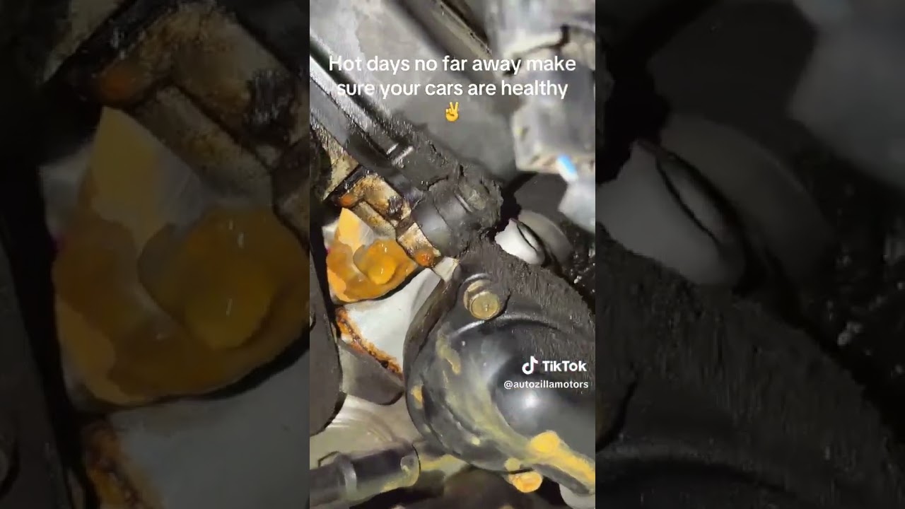 Skilled in diagnosing and repairing complex vehicle systems contact: +61 470 653 694 Australia Melb