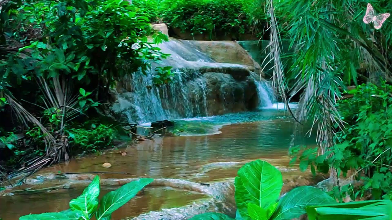 Relaxing Music For Stress Relief, Anxiety and Depressive States🌲 Heal Mind, Body and Soul Relax 6