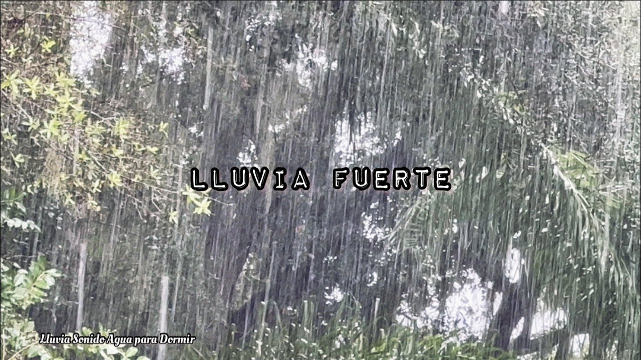 Duerma en 5 minitos con fuertes lluvias y truenos cayendo en plantas ...