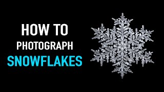 How to Photograph Snowflakes – Snowflake photography with Don Komarechka screenshot 4