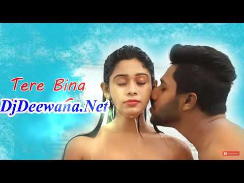 tere-bina-mere-sanam-love-song
