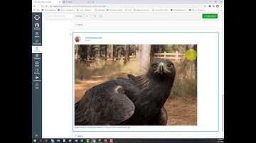 Adding Images to Discussion Posts
