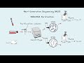 Next Generation Sequencing - A Step-By-Step Guide to DNA Sequencing. Mp3 Song