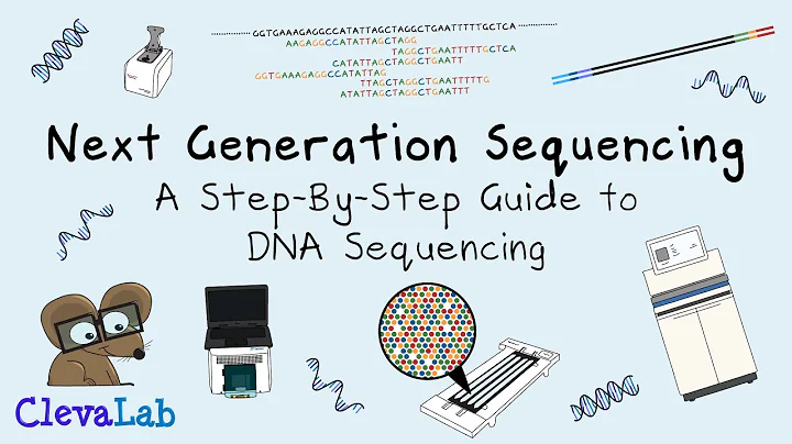 Next Generation Sequencing - A Step-By-Step Guide to DNA Sequencing. - DayDayNews