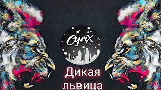 ДИКАЯ ЛЬВИЦА - ft. ALEX & RUS - Lyrics - || CyriX Network ||