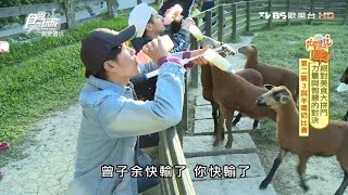 【食尚玩家】飛牛牧場苗栗親子休閒好去處牧場動物零距離 