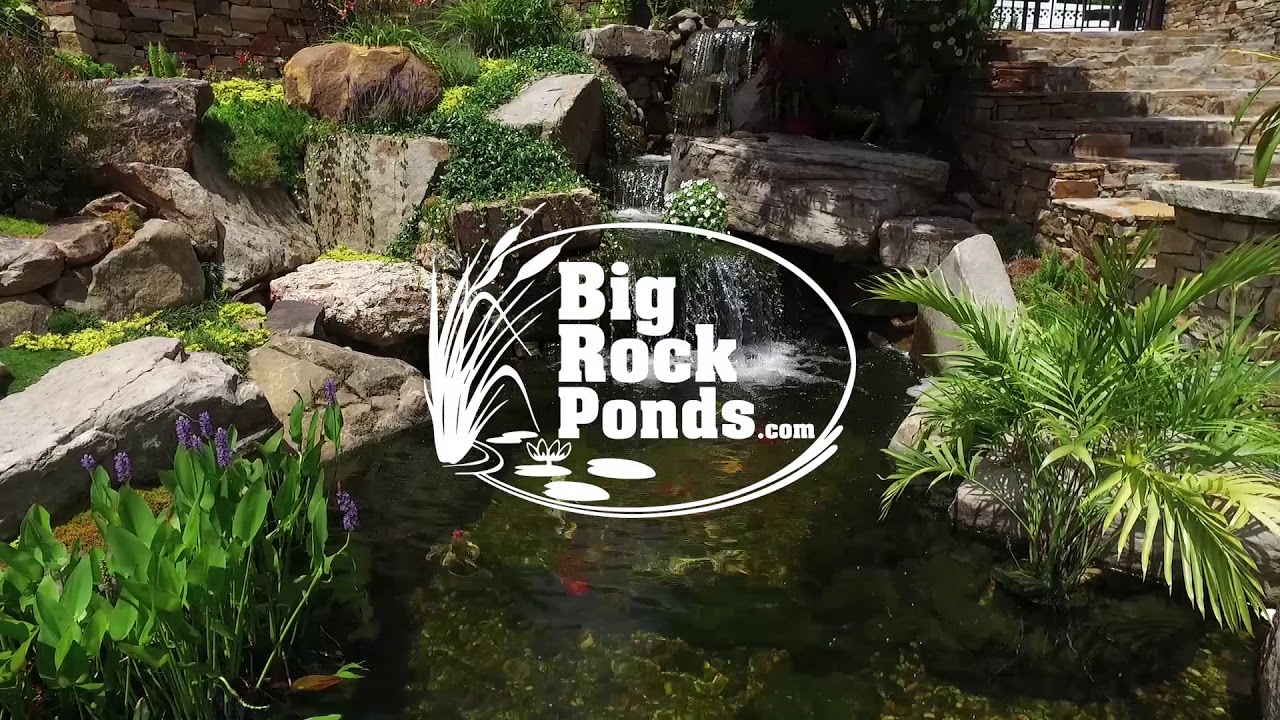 Pinewood Paradise YouTube