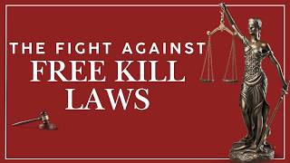 Fighting for Justice in Healthcare: Cindy Jenkins on Patient Rights and Reform Net Worth