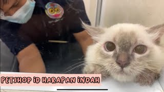 GROOMING KE PET SHOP INDONESIA HARAPAN INDAH BEKASi screenshot 4