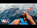 Ikan Besar BAS!! Trip Jigging - VLUQ#81 - Part 2