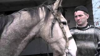 Болезни коней. Боремся с гельминтами. Struggling with worms in horses Болезни коней. Боремся с гельминтами. Struggling with worms in horses