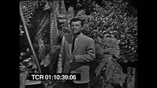 Safaris Image of a Girl