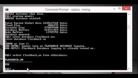 Managing Undo Data and Flashback Performance