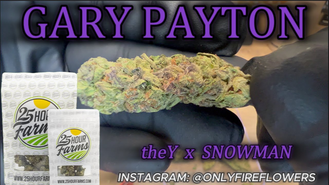 Trying GARY PAYTON Strain THCA Flower From 25 Hour Farms Review
