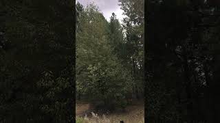 IMG 8384