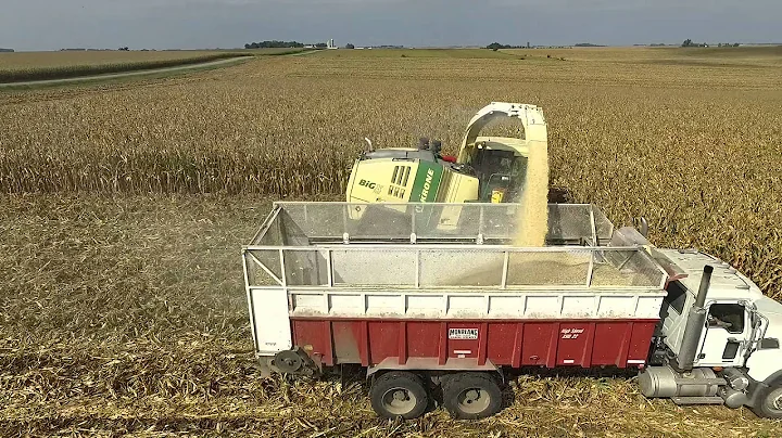 Kooiker Dairy Earlage Harvest 2015