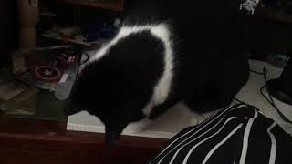 he scrabbles desperately.........