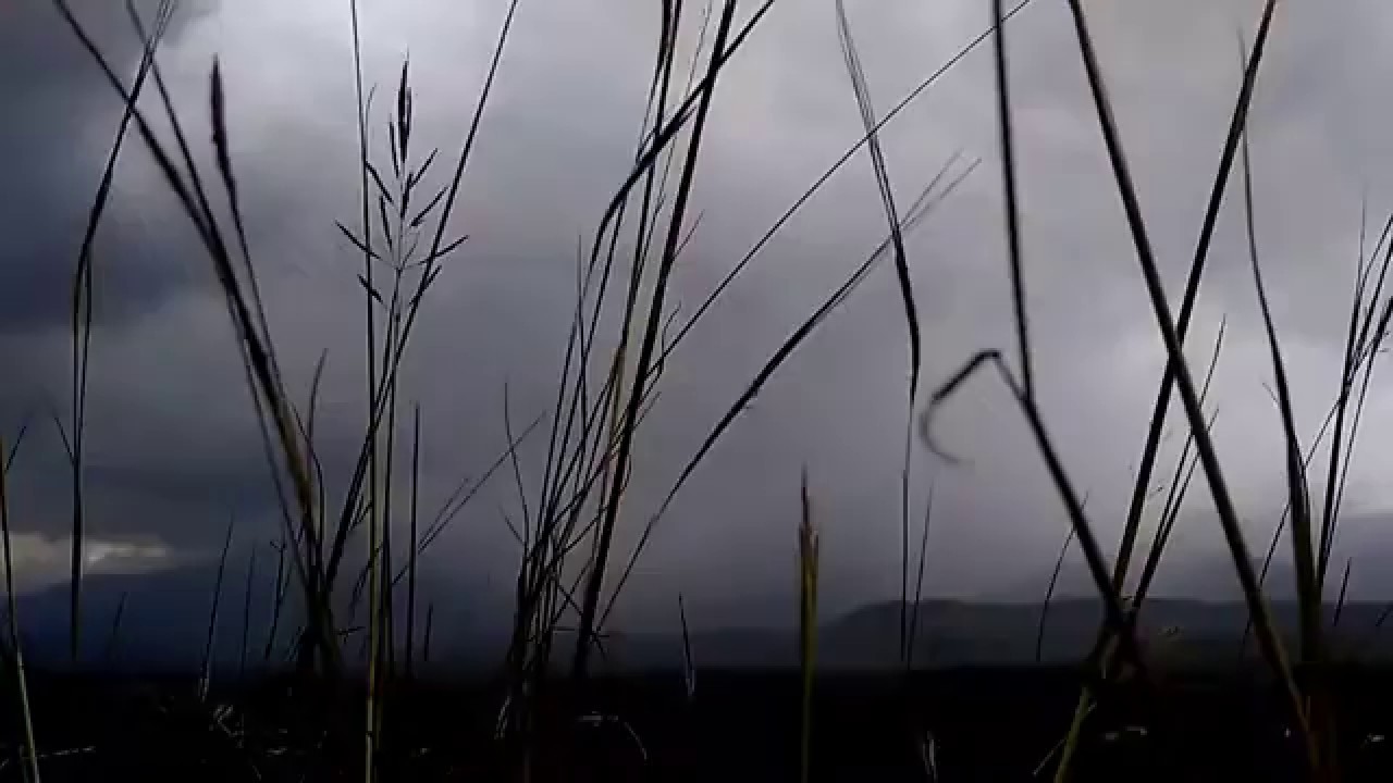 Free Background Video Untuk Puisi | Instrumen Musik No Copyright