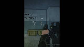 M16A2 NEW META  #blackhawkrescuemission5 #brm5 #gaming #memes