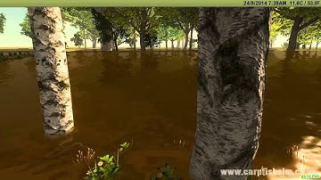 Carp Fishing Simulator - Fish Spotting WIP