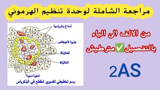 ثانية ثانوي: مراجعة شاملة لوحدة "تنظيم الهرموني"😍من الألف إلى الياء✅مصطلحات علمية+رسوم و مخططات👌