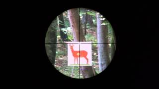 Vortex Diamondback HP 4-16x42 Reticle V-plex subtensions