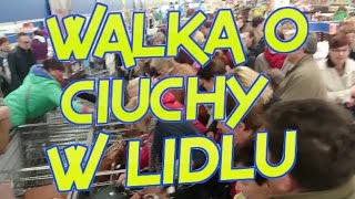 Walka O Ciuchy W Lidlu - Walka O Ubrania W Lidlu - Living In Poland 33