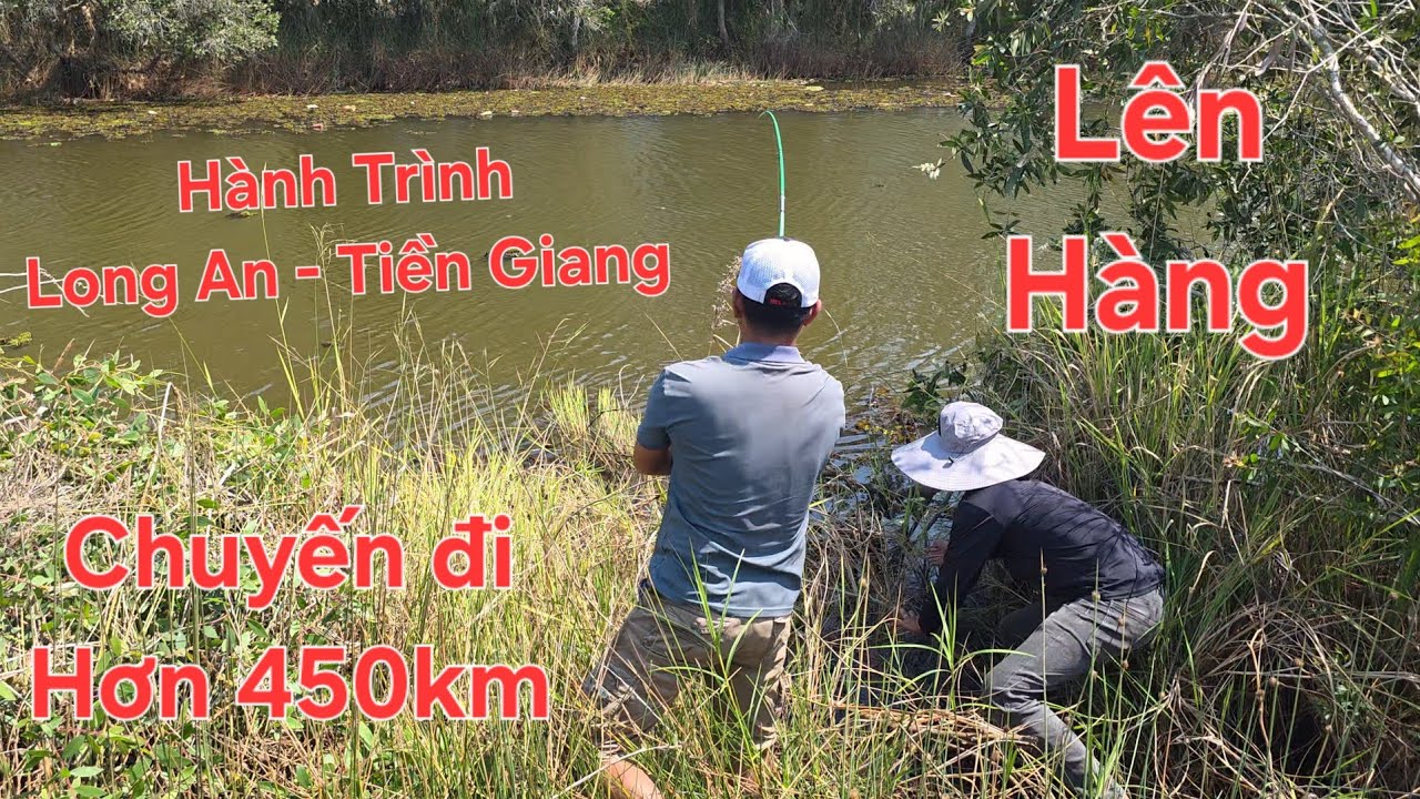 Nóng lạnh bầy cá tra bờ Tràm Tân Phước. Lôi bay cần cái xẹt luôn | Săn bắt SÓC TRĂNG |