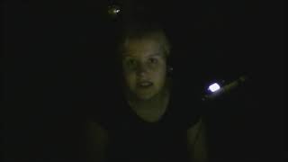 phoebe bridgers - savior complex cover