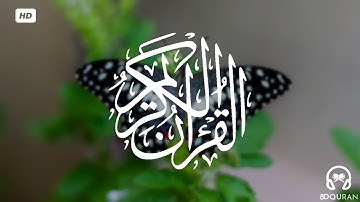 قرآن كريم بصوت وديع اليمني | حالات واتس اب
