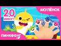 Хиты Акулёнок | +Сборник | Пойте с Акулёнком | Песни про Животных | Пинкфонг Песни для Детей