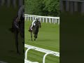 Jockey falls off horse at 40mph #horse #horseracing #racingtv #sport #britishhorseracing