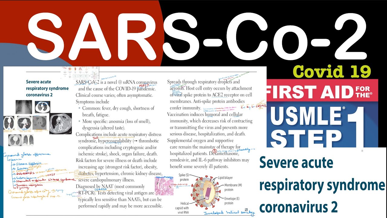 SARS-CoV-2 (Covid 19) in Hindi/Urdu by first aid for USMLE step 1 - YouTube