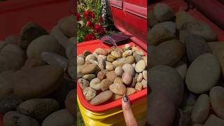 Testing solar powered water fountain for the birds, bees, and butterflies using an old container.