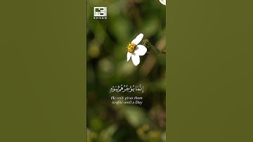 #سورة_إبراهيم الآيات 42-43 بصوت الشيخ هزاع البلوشي