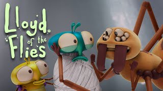 The Spider And The Fly Lloyd Of The Flies Full Episode Shaun The Sheep & Friends