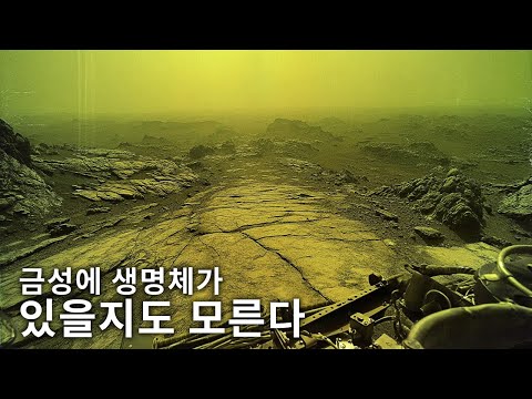 과학자들이 금성에 생명체가 존재할 가능성을 입증했다