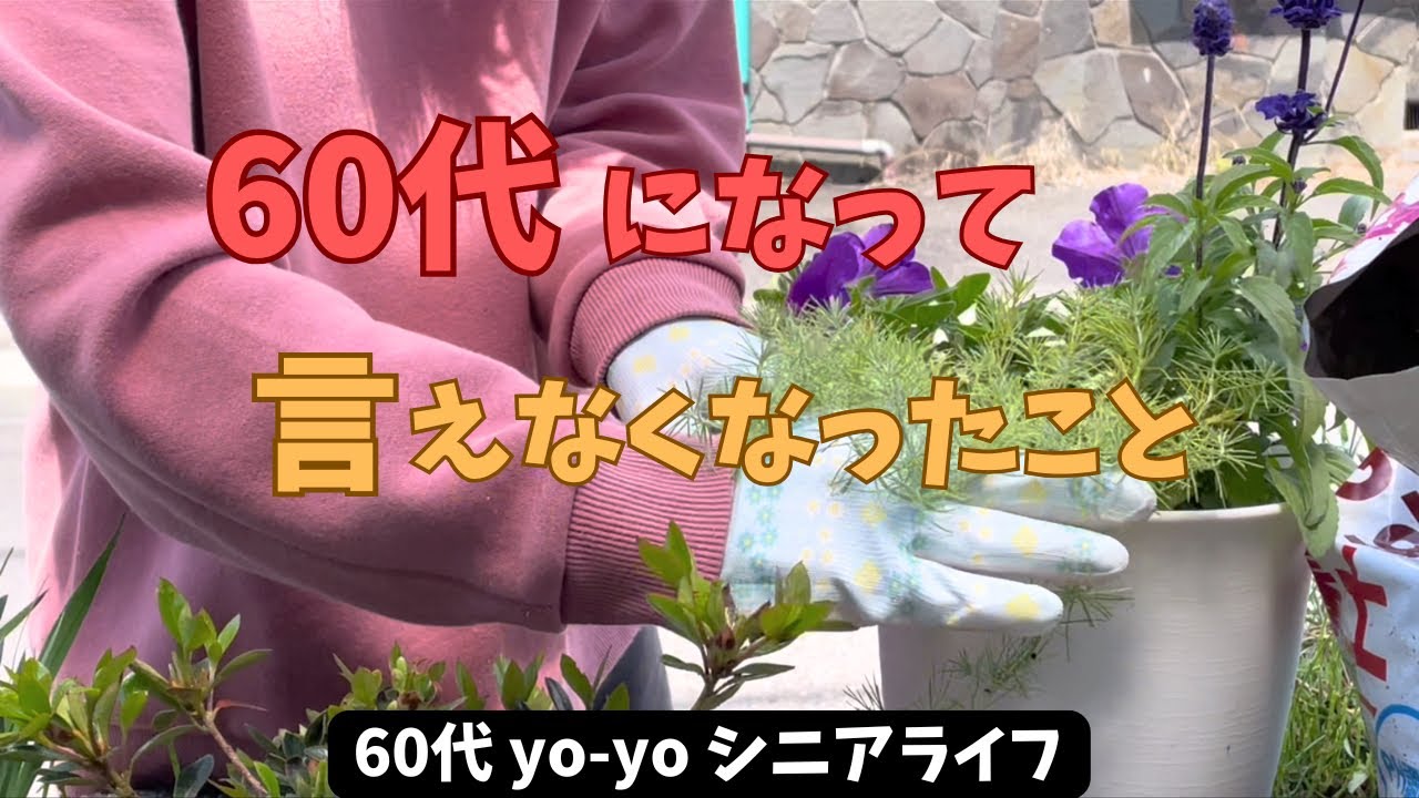 60代yo-yo vlog 】60代になって言えなくなった！？/ハムサンド/寄せ