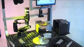 wafer inspection