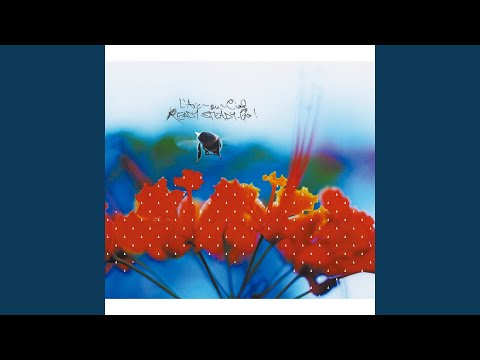 READY STEADY GO Hydeless Version