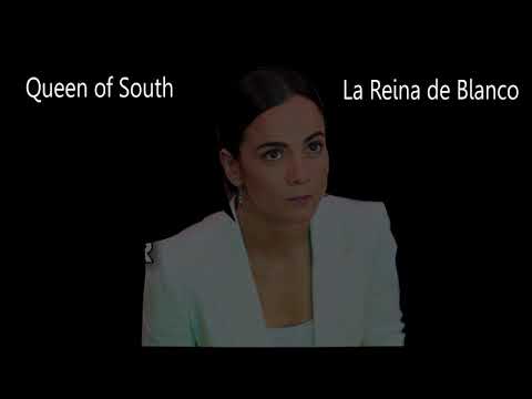 Queen Of The South Pitbull - La Reina De Blanco