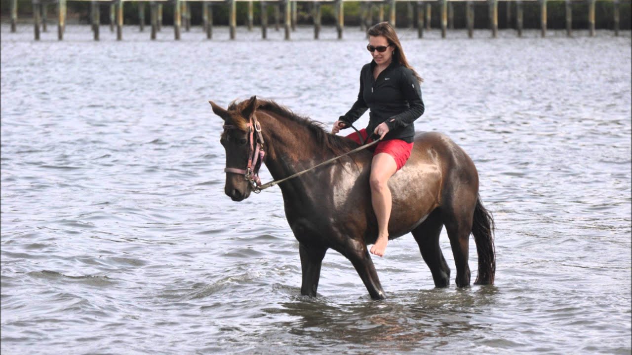 Kristen Horseback Riding In Bradenton Florida Feb 2017 You Kristen Horseback Riding In Bradenton Florida Feb 2017