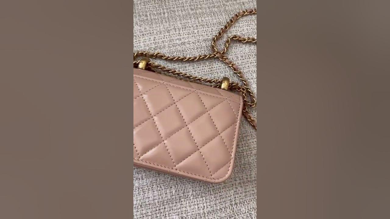 Help me decide which coin purse on a chain to get! : r/chanel