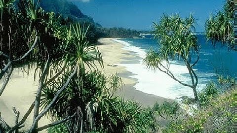 023 سورة المؤمنون الشيخ إبراهيم جمال القرجاوي برواية #روح_عن_يعقوب