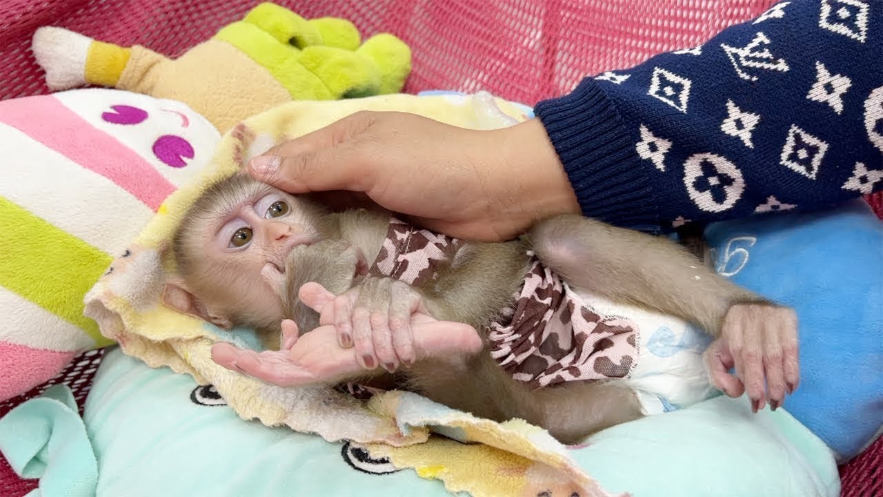 Sweetie Jelly Calmly Sleep Watch Mom Take Care Her